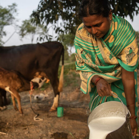 Fresh product basket